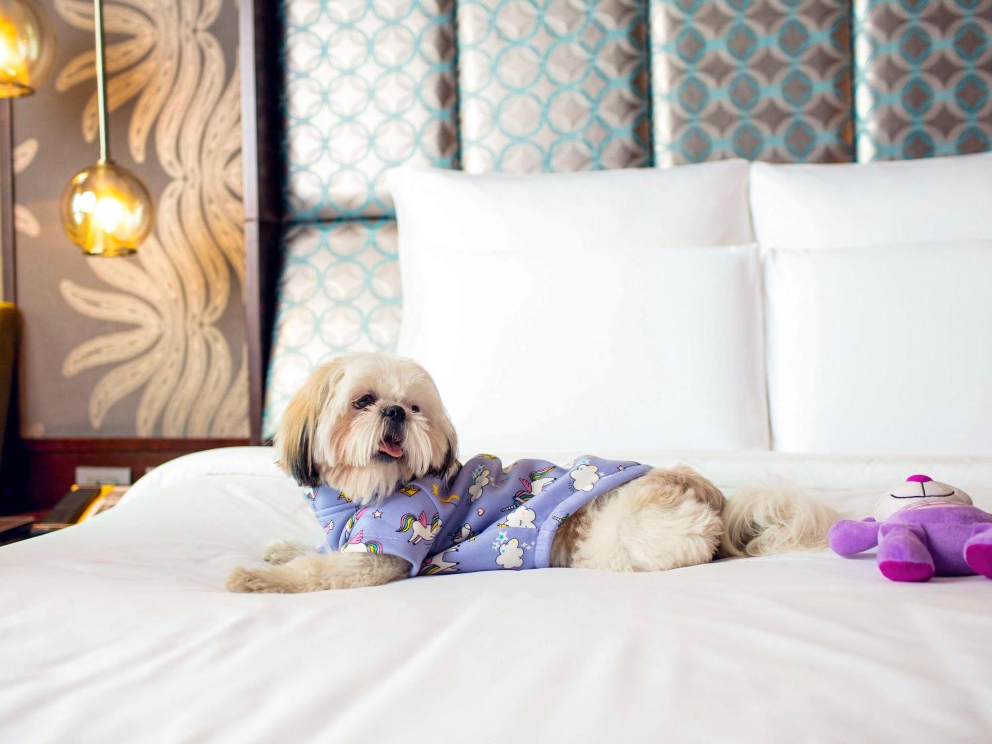 Pullman New Delhi Aerocity Exterior foto A dog at the Four Seasons Hotel